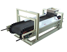 TSC electronic belt scale